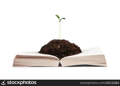 Knowledge concept with books and seedlings