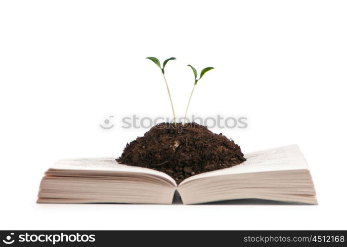 Knowledge concept with books and seedlings