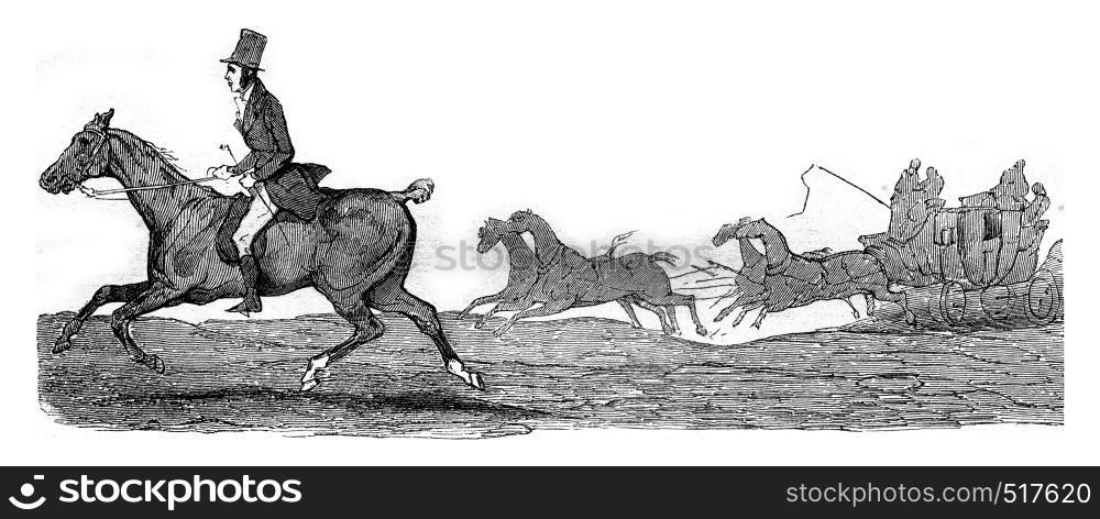 Kob, little horse half-blood who struggle with speed trunk Boston for thirty-three leagues, vintage engraved illustration. Magasin Pittoresque 1845.