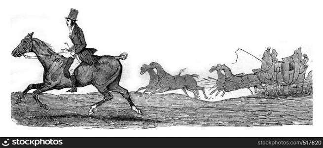 Kob, little horse half-blood who struggle with speed trunk Boston for thirty-three leagues, vintage engraved illustration. Magasin Pittoresque 1845.