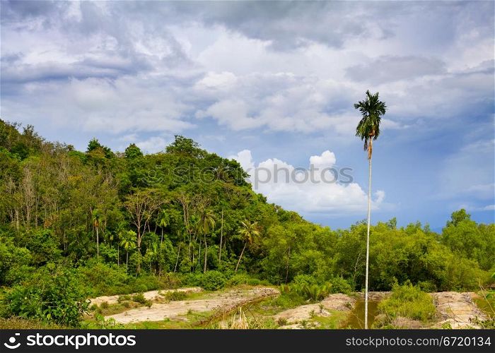 Koh Lanta Noi green landscape, Krabi, Thailand
