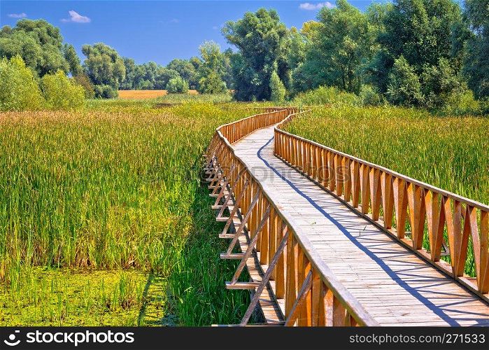 Kopacki Rit marshes nature park wooden boardwalk view, Baranja region of Croatia