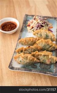 Korean Style Gyoza, Vegeterian Potstickers with soy sauce and pork
