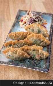 Korean Style Gyoza, Vegeterian Potstickers with soy sauce and pork