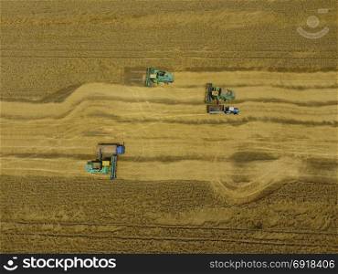 Krasnodar, Russia - July 22, 2017: Harvesting wheat harvester. Agricultural machines harvest grain on the field. Agricultural machinery in operation.. Harvesting wheat harvester. Agricultural machines harvest grain on the field.