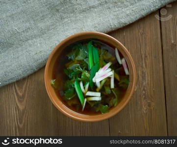 krosheva Grey stchi Russian cabbage soup