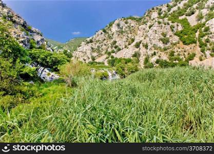 Krupa river canyon green nature and waterfall, Dalmatia, Croatia