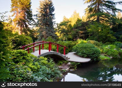 Kubota Garden in Seattle WA