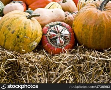 Kuerbisse-auf-Stroh. several pumpkins on straw bale