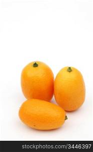kumquat close up isolated on white