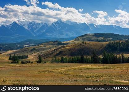 Kurai steppe and North-Chui ridge on background. Altai mountains, Russia.. Kurai steppe and North-Chui ridge