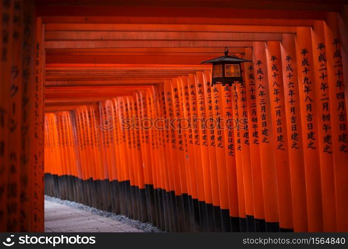 Kyoto, Japan - October 4, 2012: Torii at Fushimi Inari-taisha shrine. The shrine sits at the base of a mountain which is 233 metres above sea-level, and includes trails up the mountain to many smaller shrines.
