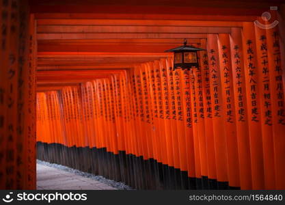 Kyoto, Japan - October 4, 2012: Torii at Fushimi Inari-taisha shrine. The shrine sits at the base of a mountain which is 233 metres above sea-level, and includes trails up the mountain to many smaller shrines.