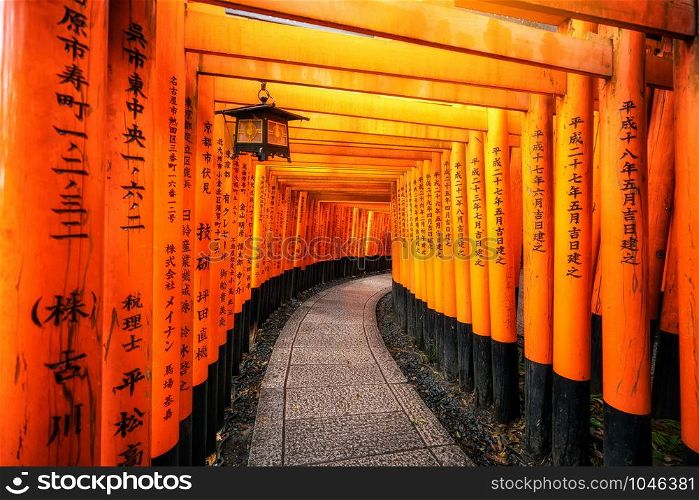 Kyoto, Japan - September 25 2018: Red Torii gates in Fushimi Inari Shrine in Kyoto, Japan. It is the famous landmark and tourist travel destination of Kyoto.