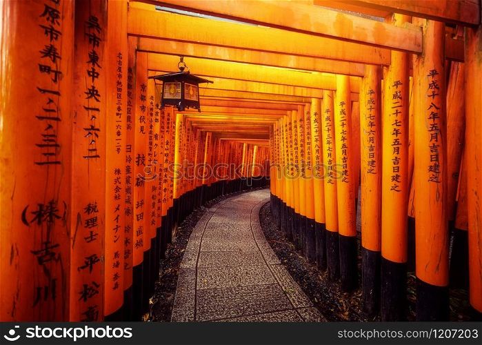 Kyoto, Japan - September 25 2018: Red Torii gates in Fushimi Inari Shrine in Kyoto, Japan. It is the famous landmark and tourist travel destination of Kyoto.