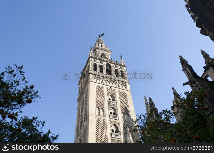 La Giralda, the highest tower of the cathedral of Seville, the largest Catholic cathedral in the world