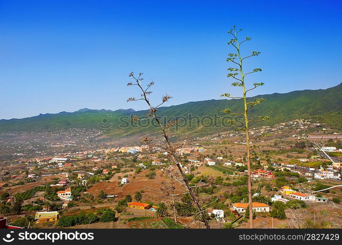 La Palma Caldera Tabueirnte mountain with agave in canary Islands