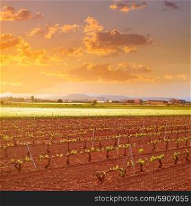La Rioja vineyard fields by The Way of Saint James in Logrono