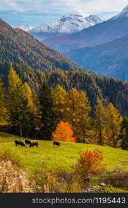 la salle in val aoste in italy