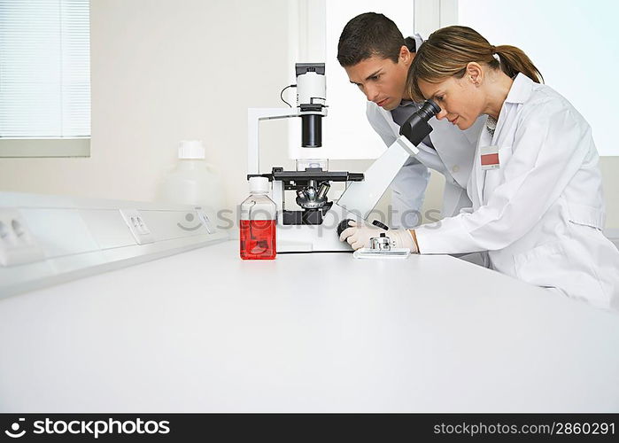 Lab Technicians Using Microscope