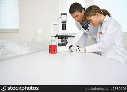 Lab Technicians Using Microscope