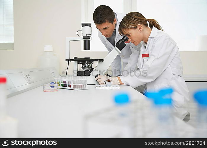 Lab Technicians Using Microscope