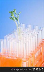 Lab tests with green seedlings