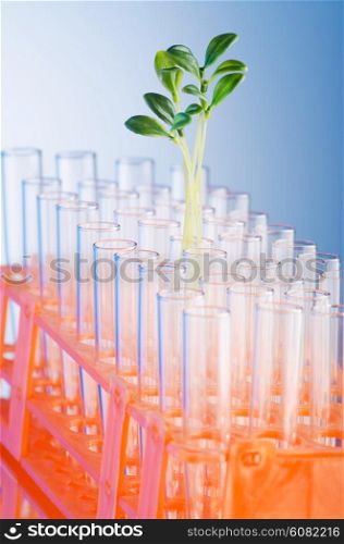 Lab tests with green seedlings