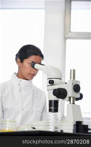 Lab Worker Looking Through Microscope