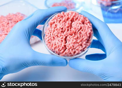 Laboratory grown artificial meat sample in petri dish concet