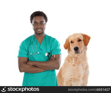 Labrador dog with african veterinarian isolated on a white background