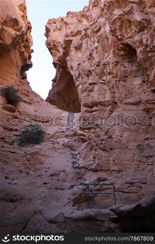 Ladder in Vardit canyon in Negev desert, Israel