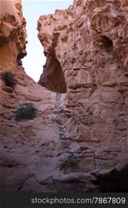 Ladder in Vardit canyon in Negev desert, Israel