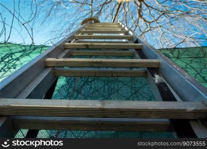 Ladder leaning against the fence, tree branches and the blue sky