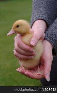 Lady holding a duckling