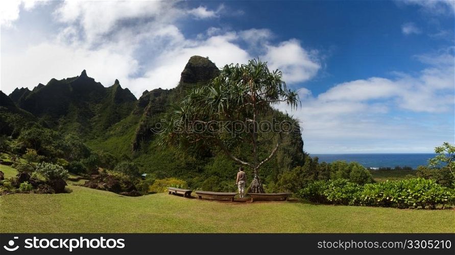 Lady overlooking the verdant hills of Na Pali Coast in Kauai