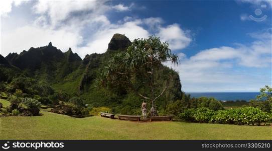 Lady overlooking the verdant hills of Na Pali Coast in Kauai