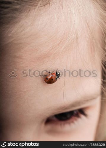 Ladybird bug walking across forehead of a girl with downwards angle