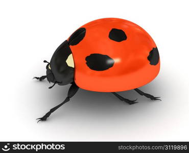 Ladybird over white background. 3d render