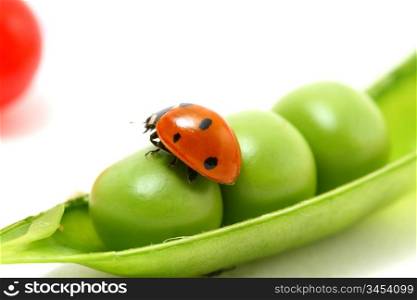 ladybug gourmet currant and peas on white