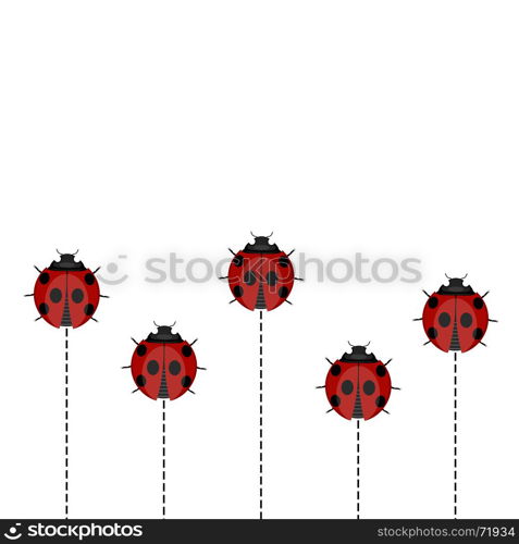 Ladybug Pattern on White Background. Ladybug Pattern on Yellow Background. Ladybird Texture