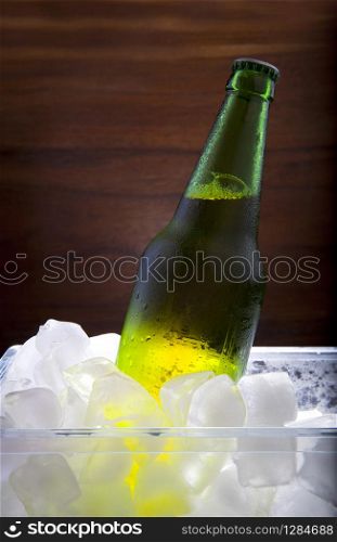 lager beer in ice cooler beverage theme. lager beer in ice cooler