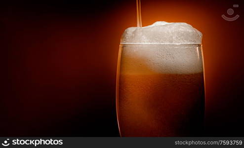 Lager beer settles in the glass with a white cap of foam