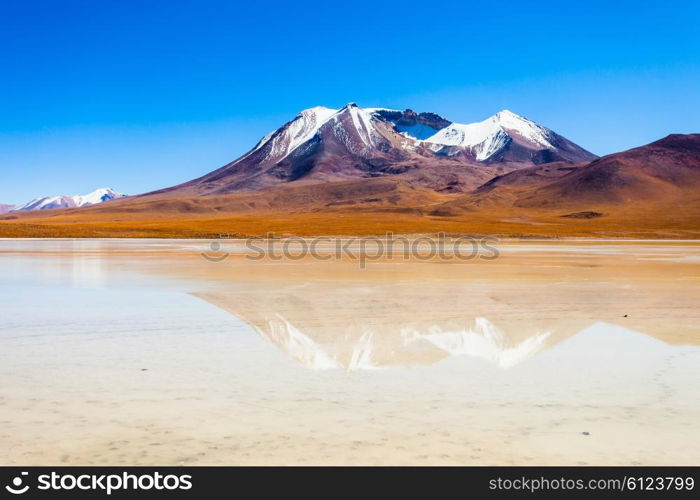 Laguna Canapa is a salt lake in the altiplano of Bolivia