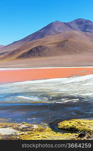 Laguna Colorada in Bolivia