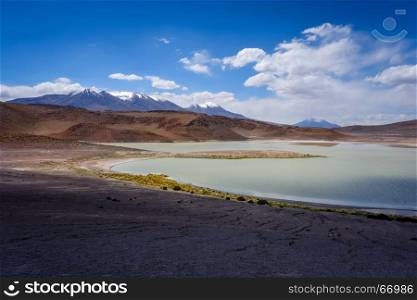 Laguna Honda in sud Lipez Altiplano reserva Eduardo Avaroa, Bolivia. Laguna Honda in sud Lipez Altiplano reserva, Bolivia