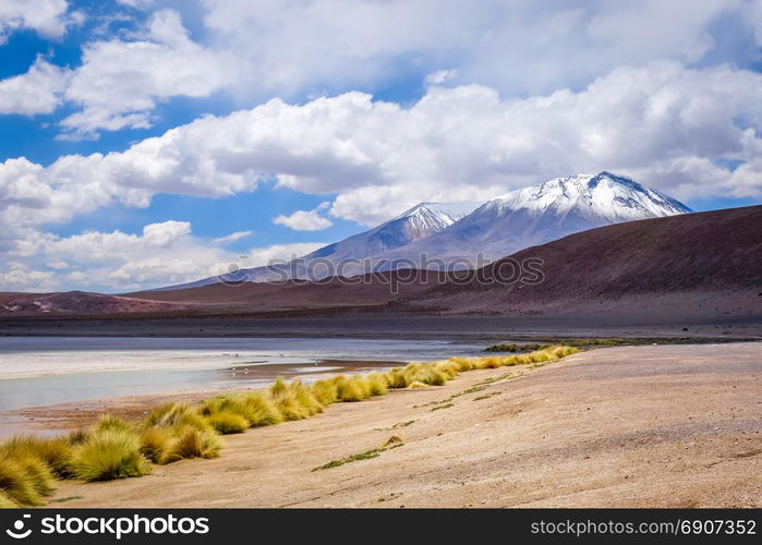 Laguna Honda in sud Lipez Altiplano reserva Eduardo Avaroa, Bolivia. Laguna Honda in sud Lipez Altiplano reserva, Bolivia