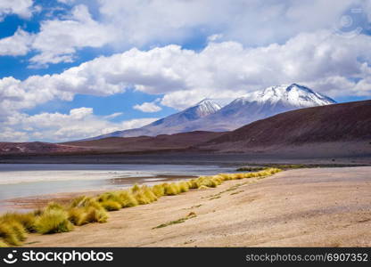 Laguna Honda in sud Lipez Altiplano reserva Eduardo Avaroa, Bolivia. Laguna Honda in sud Lipez Altiplano reserva, Bolivia