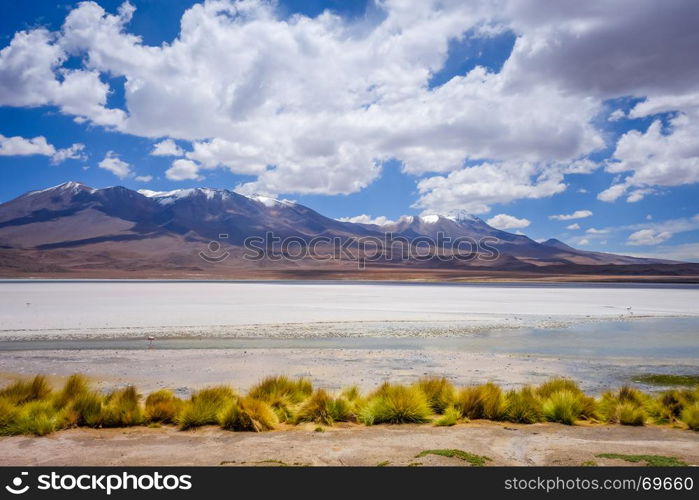 Laguna Honda in sud Lipez Altiplano reserva Eduardo Avaroa, Bolivia. Laguna Honda in sud Lipez Altiplano reserva, Bolivia