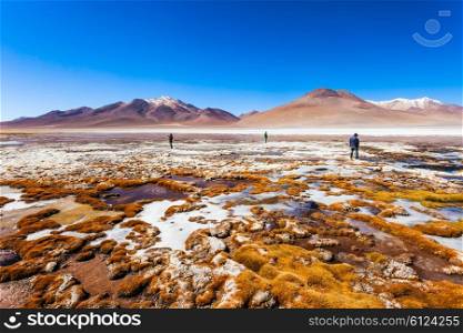 Laguna Honda is a salt lake in the altiplano of Bolivia